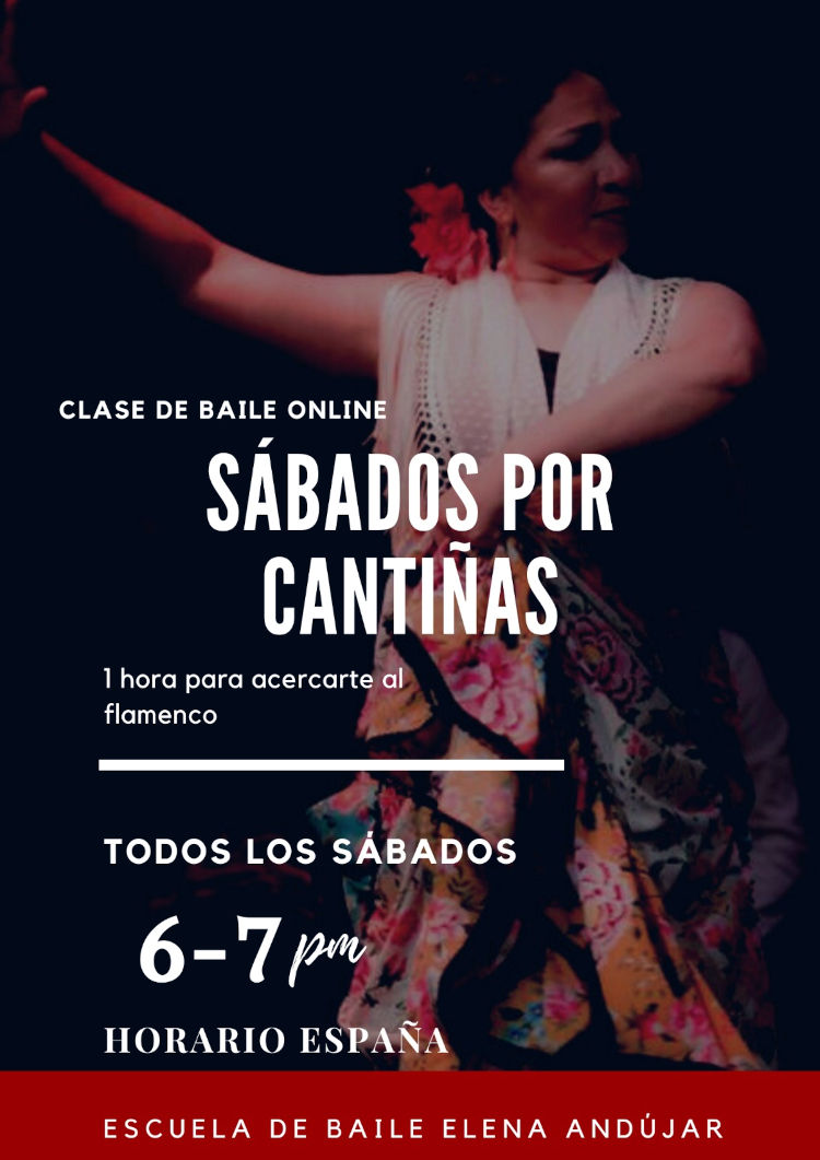 Clases de flamenco online